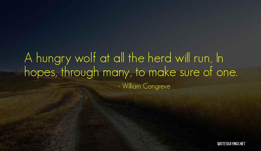 Hungry Wolf Quotes By William Congreve Hungry Wolf Quotes By William Congreve