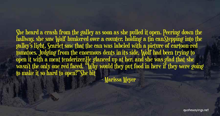 Hunkered Down Quotes By Marissa Meyer Hunkered Down Quotes By Marissa Meyer