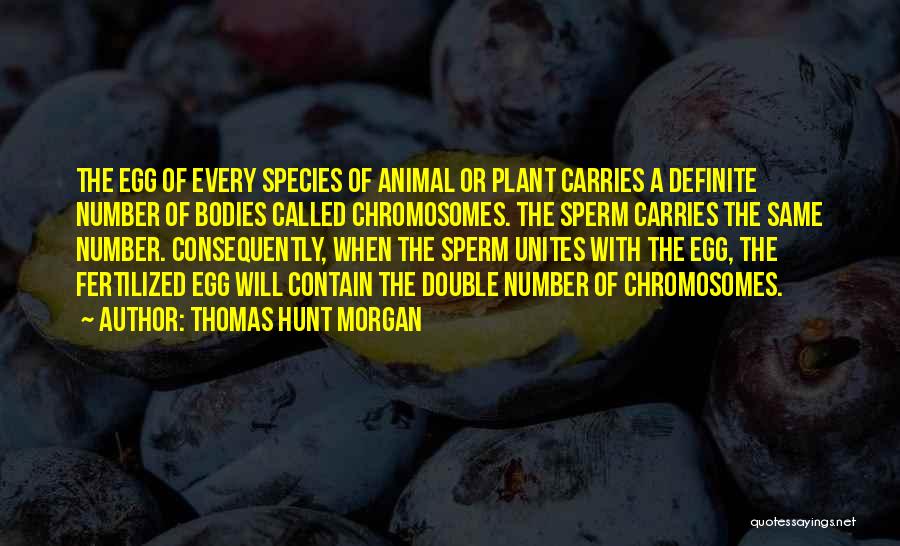 Hunt Quotes By Thomas Hunt Morgan