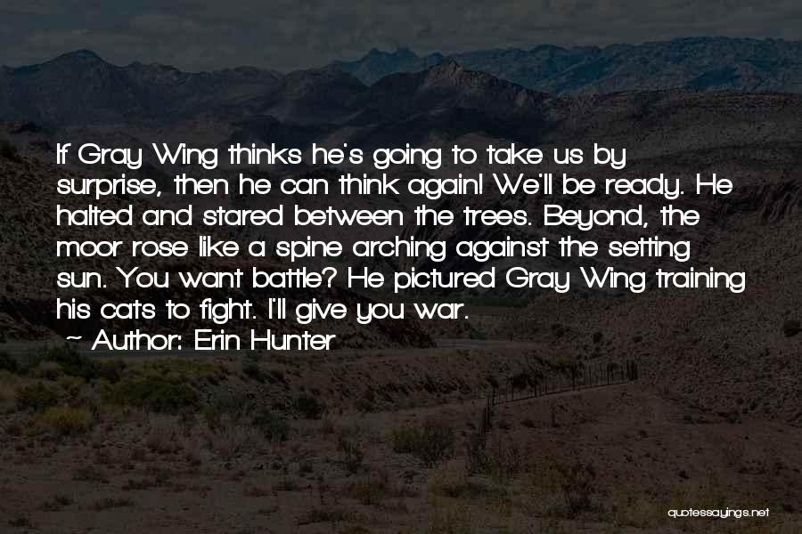 Hunter X Hunter Wing Quotes By Erin Hunter