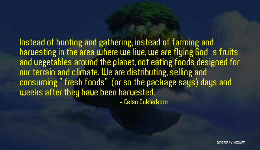 Hunting And God Quotes By Celso Cukierkorn