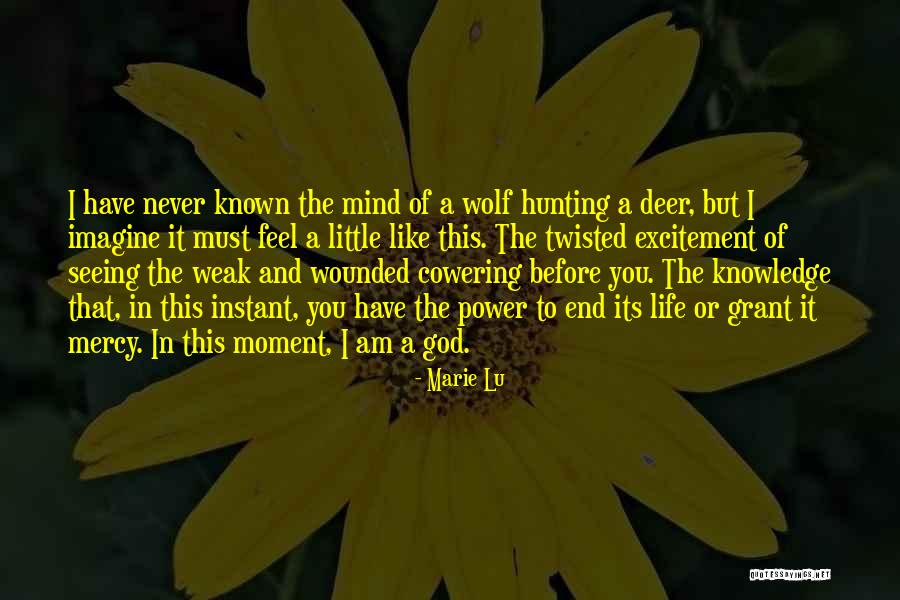 Hunting And God Quotes By Marie Lu Hunting And God Quotes By Marie Lu