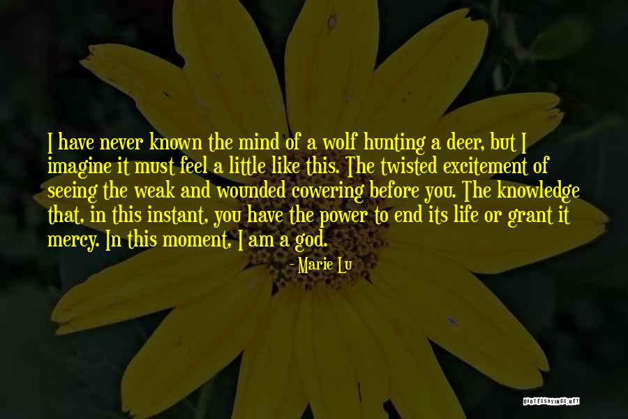 Hunting And God Quotes By Marie Lu