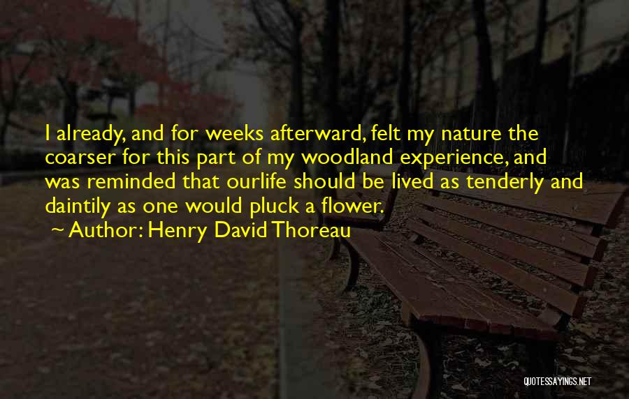 Hunting And Nature Quotes By Henry David Thoreau