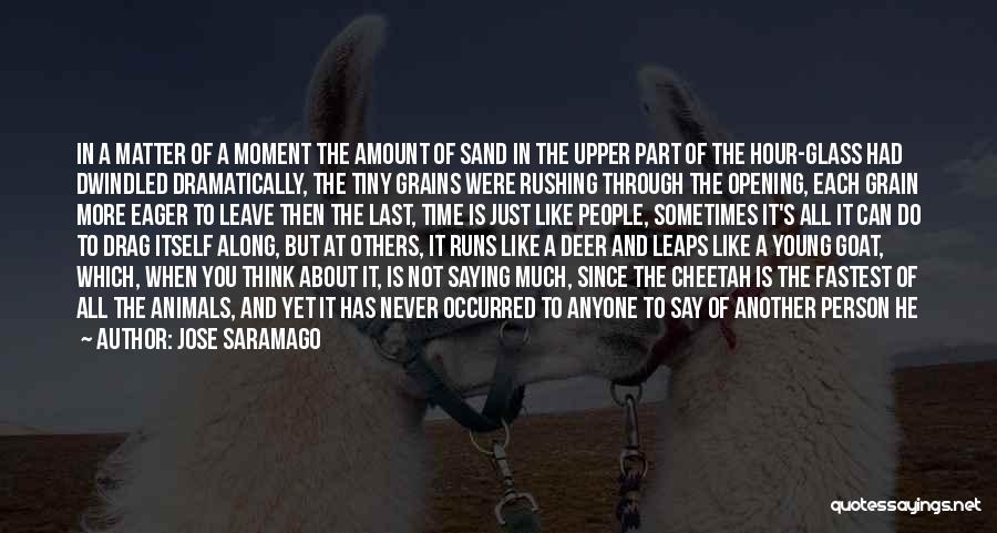 Hunting Animals Quotes By Jose Saramago