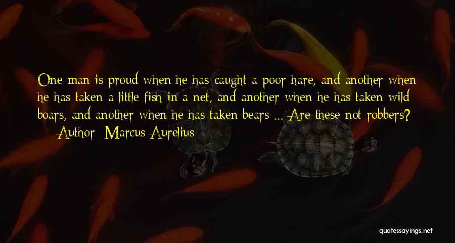Hunting Man Quotes By Marcus Aurelius