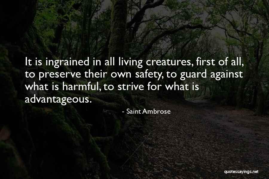 Huracanes Definicion Quotes By Saint Ambrose Huracanes Definicion Quotes By Saint Ambrose