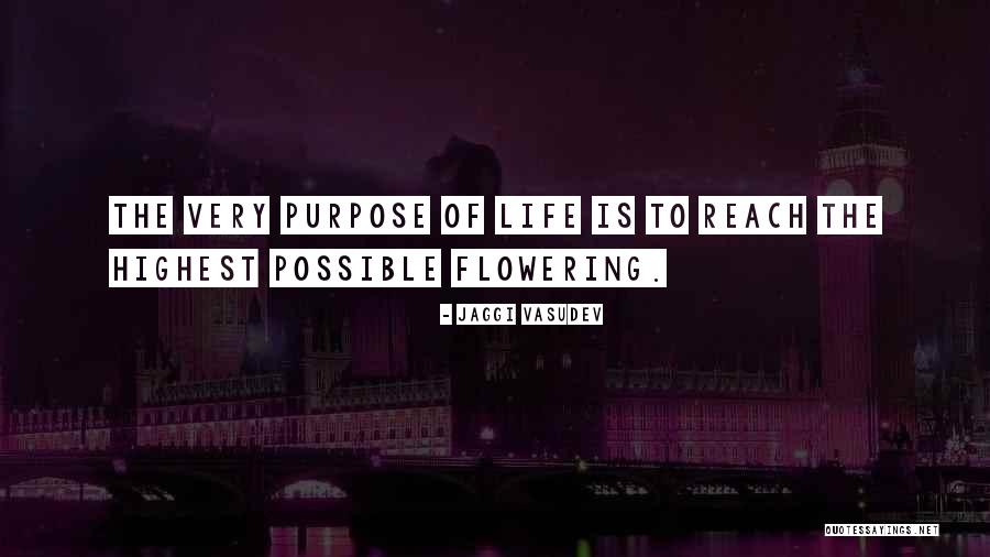 Huracanes Rd Quotes By Jaggi Vasudev