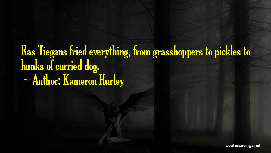 Hurley Quotes By Kameron Hurley