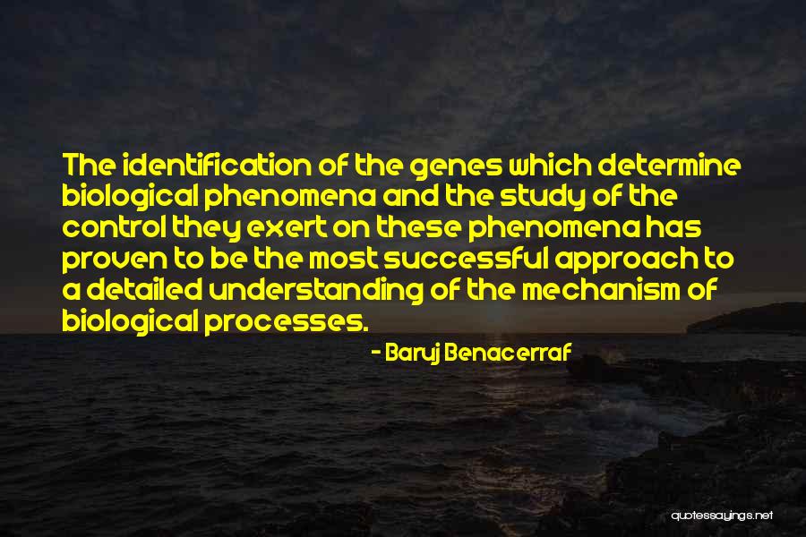 Hurleys Grand Quotes By Baruj Benacerraf Hurleys Grand Quotes By Baruj Benacerraf