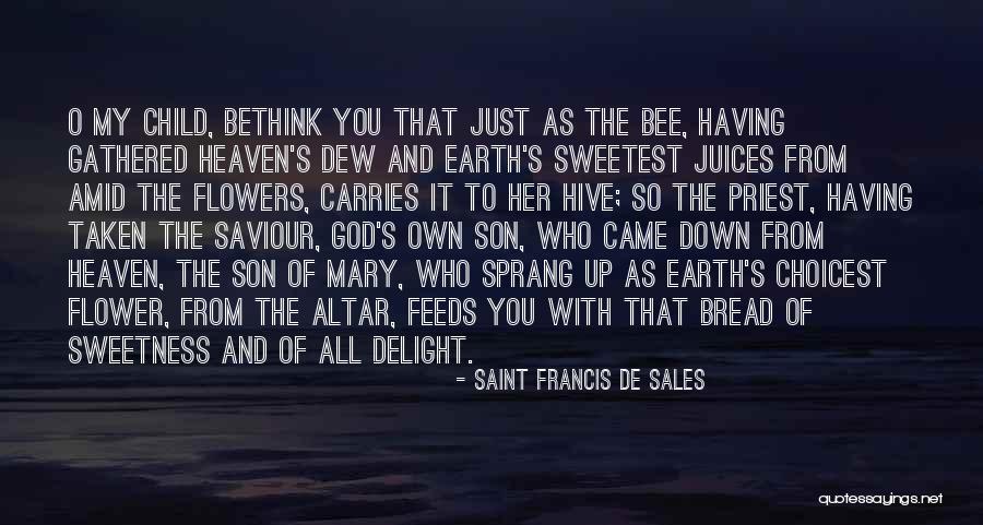 Hurraying Quotes By Saint Francis De Sales Hurraying Quotes By Saint Francis De Sales