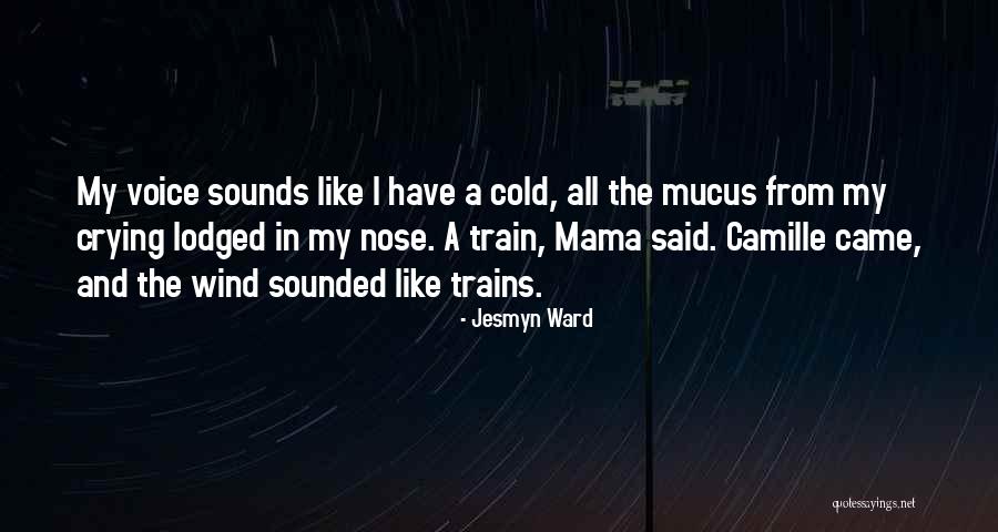 Hurricane Katrina Quotes By Jesmyn Ward