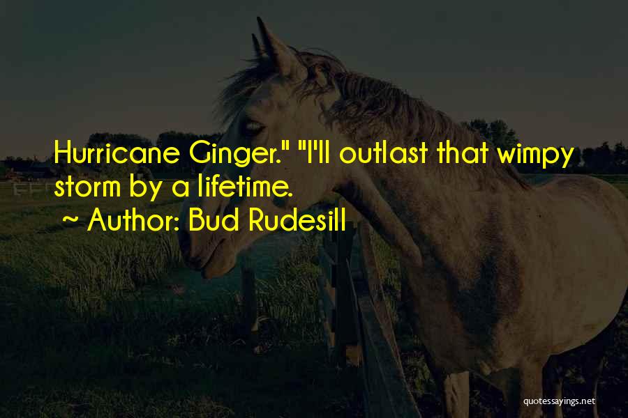 Hurricane Quotes By Bud Rudesill