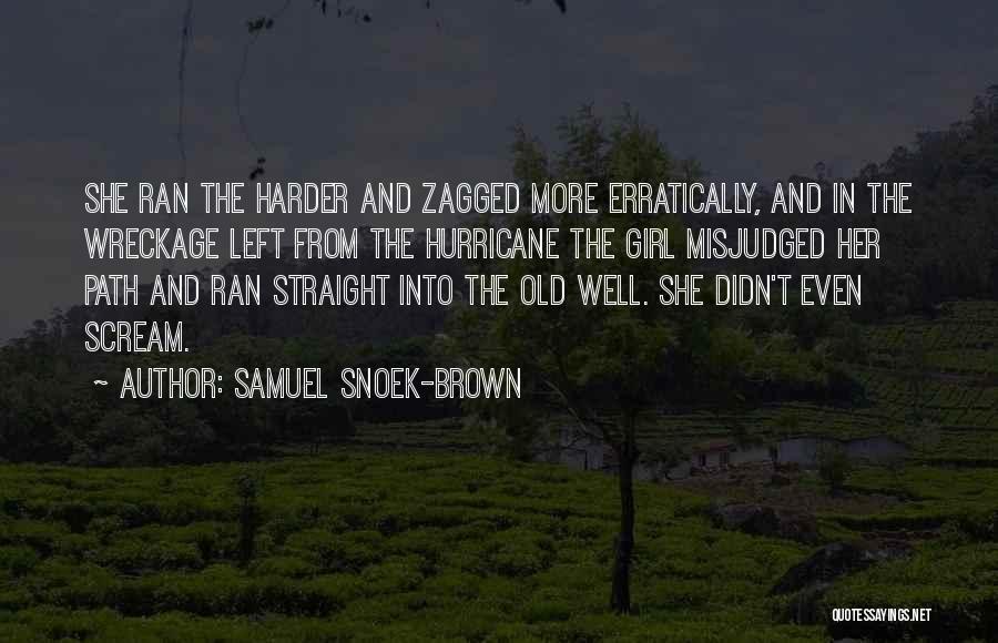 Hurricane Quotes By Samuel Snoek-Brown