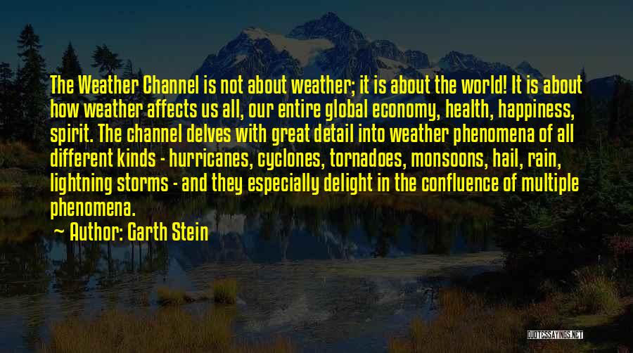 Hurricanes And Tornadoes Quotes By Garth Stein