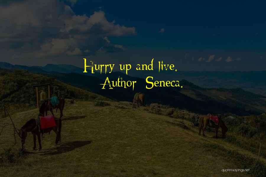 Hurry Up Quotes By Seneca.