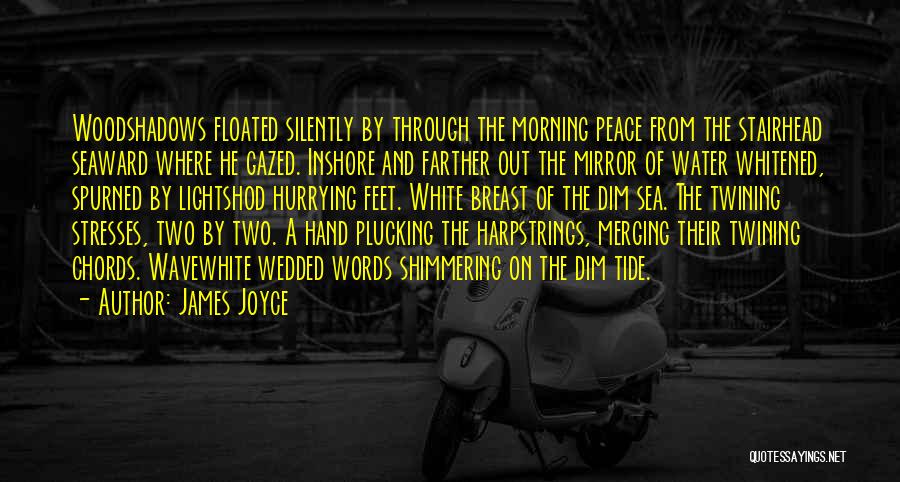 Hurrying Quotes By James Joyce