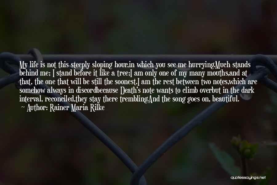 Hurrying Quotes By Rainer Maria Rilke