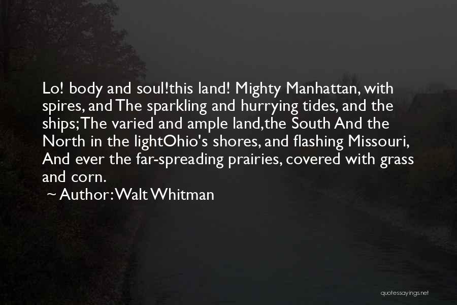 Hurrying Quotes By Walt Whitman