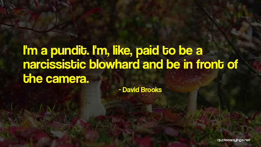 Hursthouses View Quotes By David Brooks Hursthouses View Quotes By David Brooks