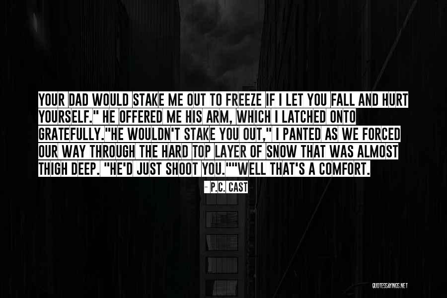 Hurt And Comfort Quotes By P.C. Cast Hurt And Comfort Quotes By P.C. Cast