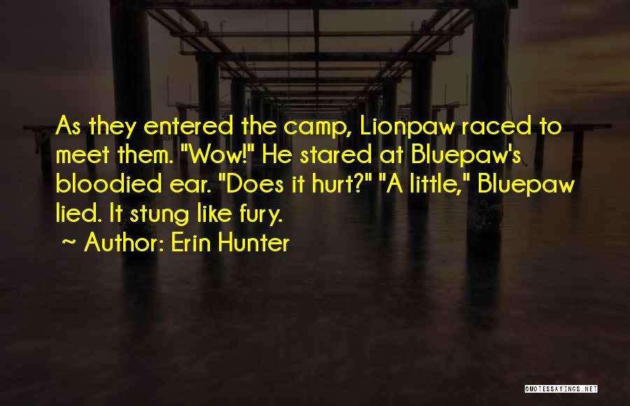 Hurt And Lied To Quotes By Erin Hunter