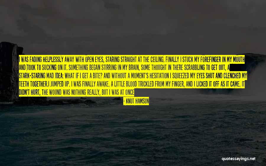 Hurt And Sad Quotes By Knut Hamsun Hurt And Sad Quotes By Knut Hamsun