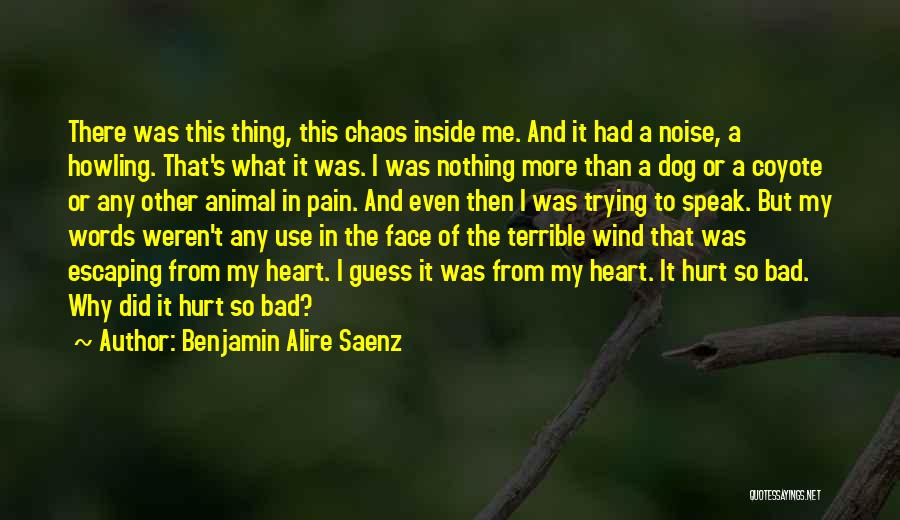 Hurt Animal Quotes By Benjamin Alire Saenz