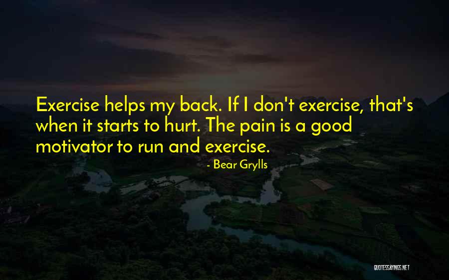 Hurt Back Quotes By Bear Grylls Hurt Back Quotes By Bear Grylls