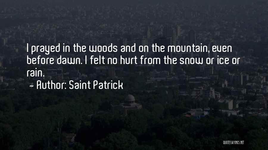 Hurt Before Quotes By Saint Patrick