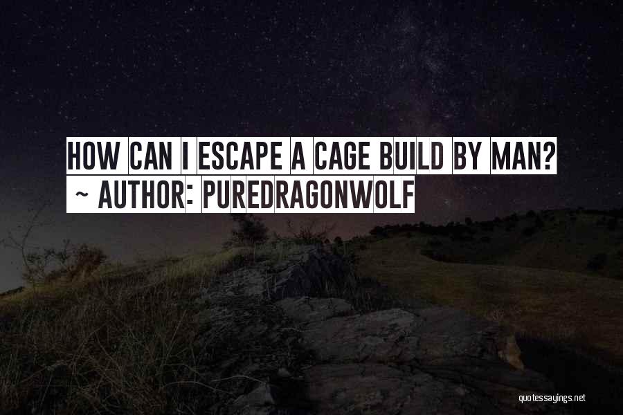 Hurt By Man Quotes By PureDragonWolf