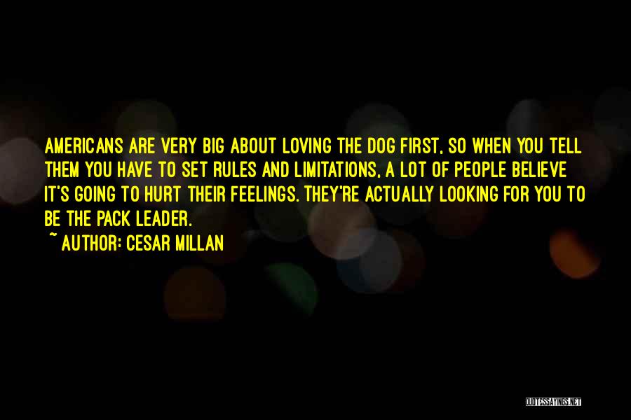 Hurt Dog Quotes By Cesar Millan