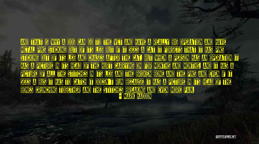 Hurt Dog Quotes By Mark Haddon Hurt Dog Quotes By Mark Haddon
