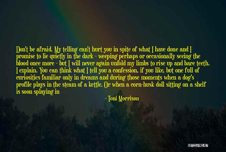 Hurt Dog Quotes By Toni Morrison