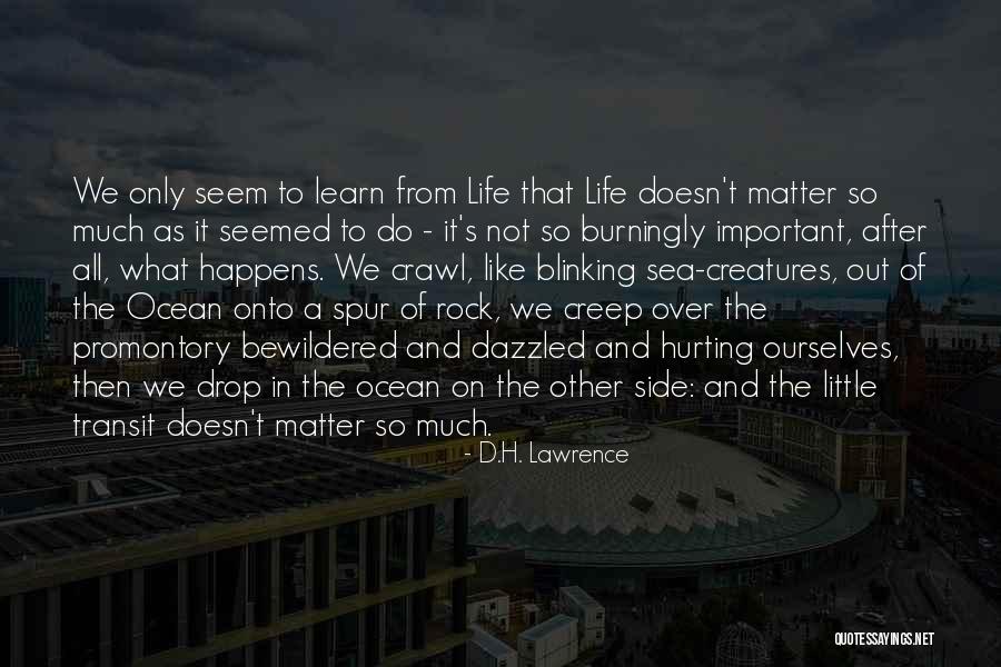 Hurt From Life Quotes By D.H. Lawrence Hurt From Life Quotes By D.H. Lawrence