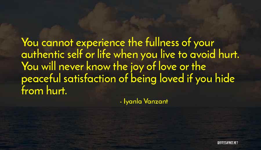 Hurt From Life Quotes By Iyanla Vanzant