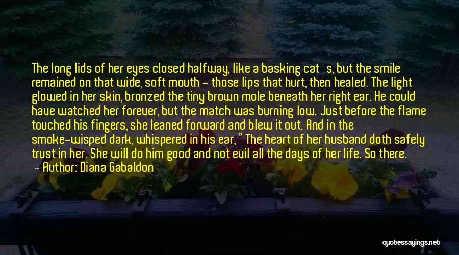 Hurt In Her Eyes Quotes By Diana Gabaldon