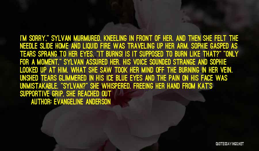 Hurt In Her Eyes Quotes By Evangeline Anderson