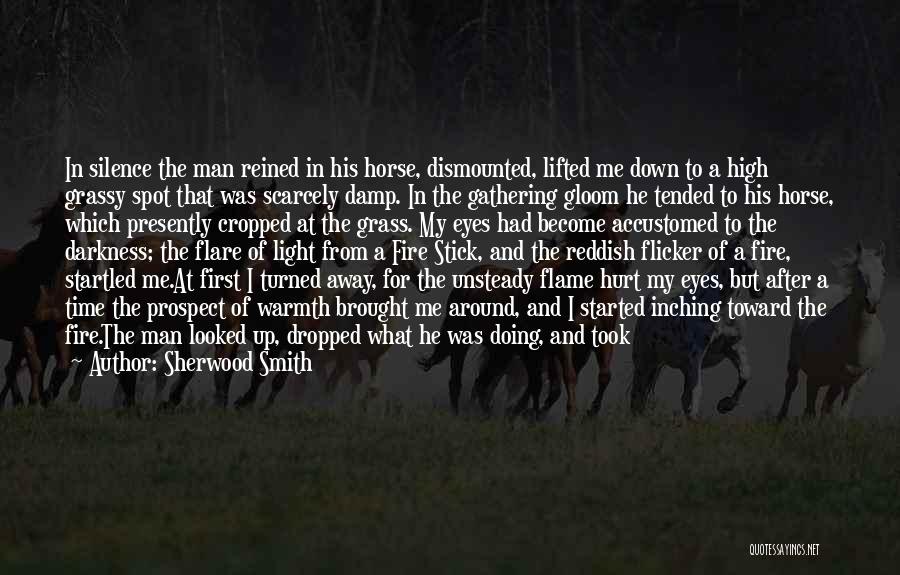 Hurt In My Eyes Quotes By Sherwood Smith