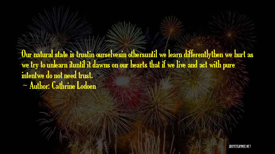 Hurt In Trust Quotes By Cathrine Lodoen