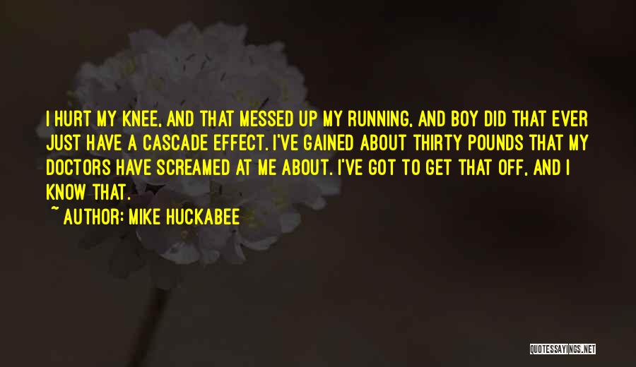 Hurt Knee Quotes By Mike Huckabee