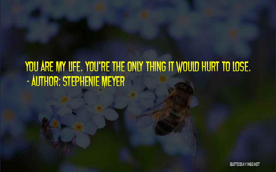 Hurt Love Life Quotes By Stephenie Meyer