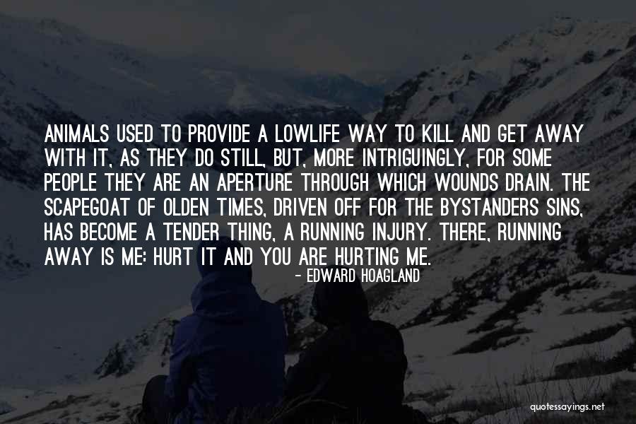 Hurt Me More Quotes By Edward Hoagland Hurt Me More Quotes By Edward Hoagland