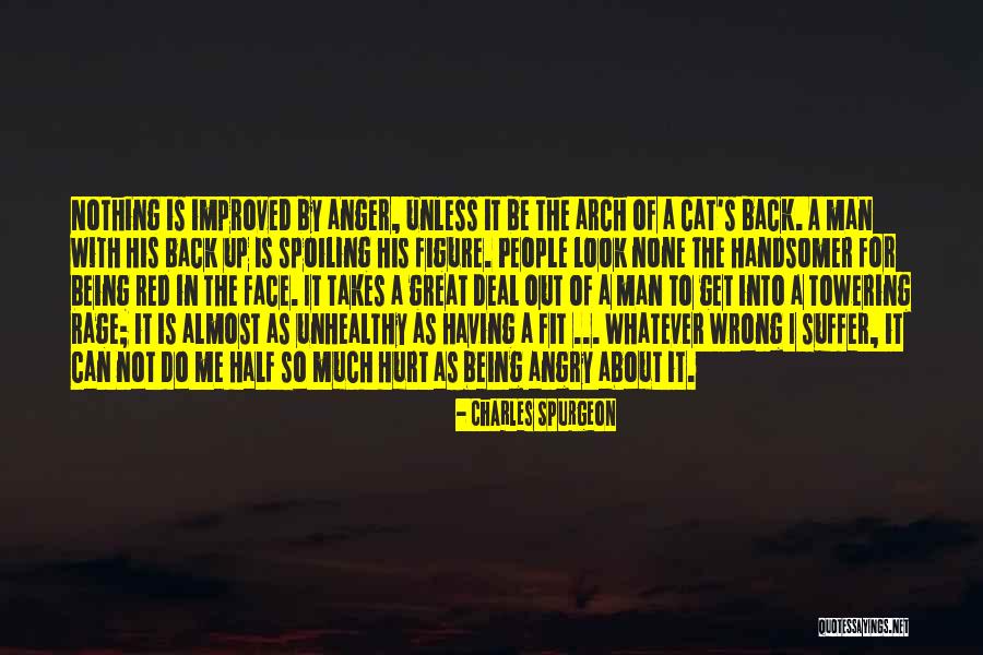 Hurt Me So Much Quotes By Charles Spurgeon Hurt Me So Much Quotes By Charles Spurgeon