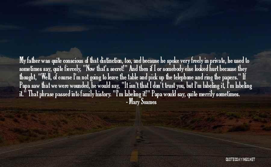 Hurt My Family Quotes By Mary Soames Hurt My Family Quotes By Mary Soames