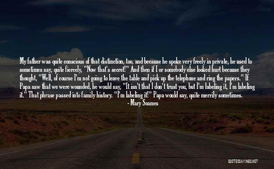 Hurt My Family Quotes By Mary Soames