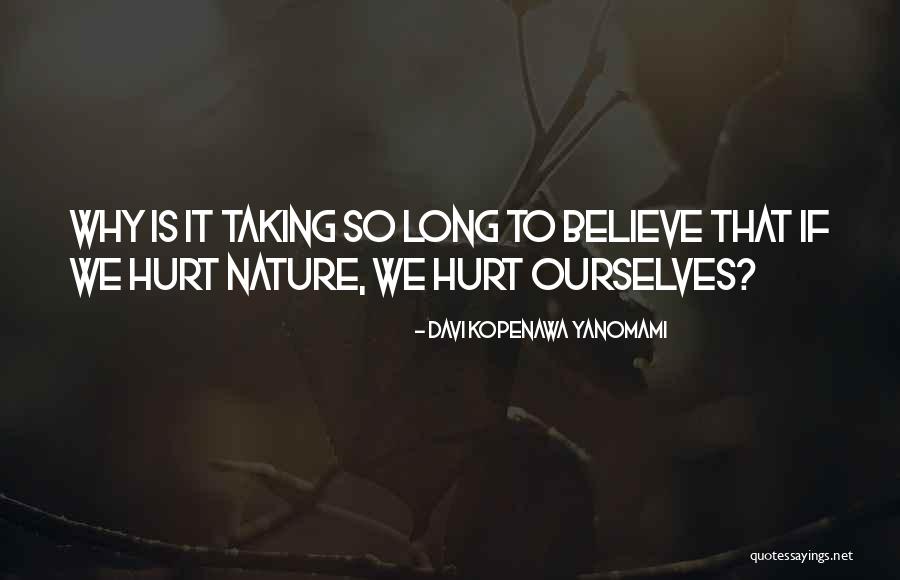 Hurt Ourselves Quotes By Davi Kopenawa Yanomami