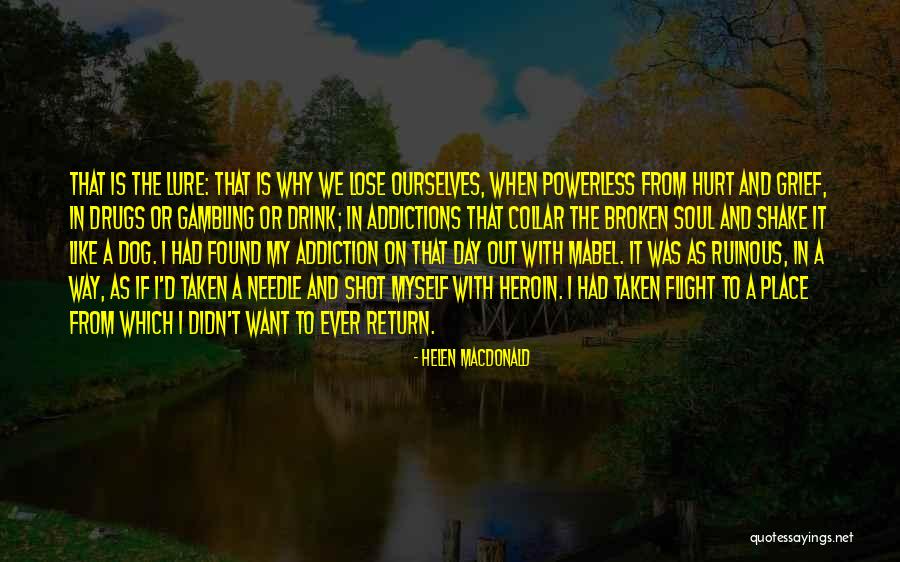 Hurt Ourselves Quotes By Helen Macdonald Hurt Ourselves Quotes By Helen Macdonald