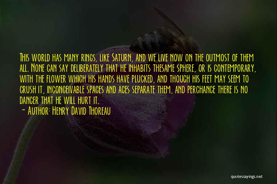 Hurt Separate Quotes By Henry David Thoreau