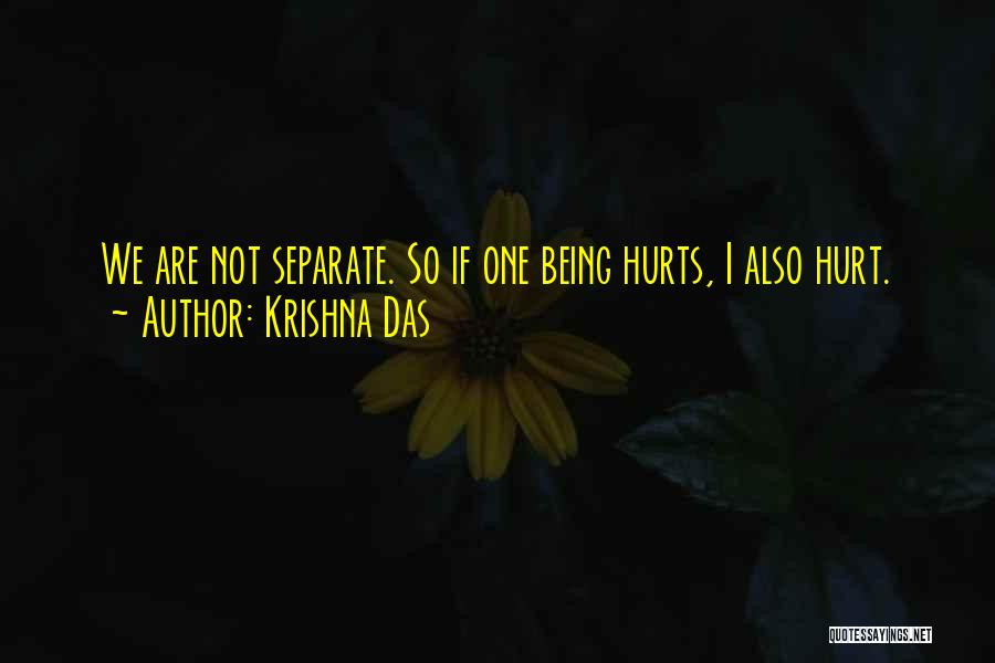 Hurt Separate Quotes By Krishna Das